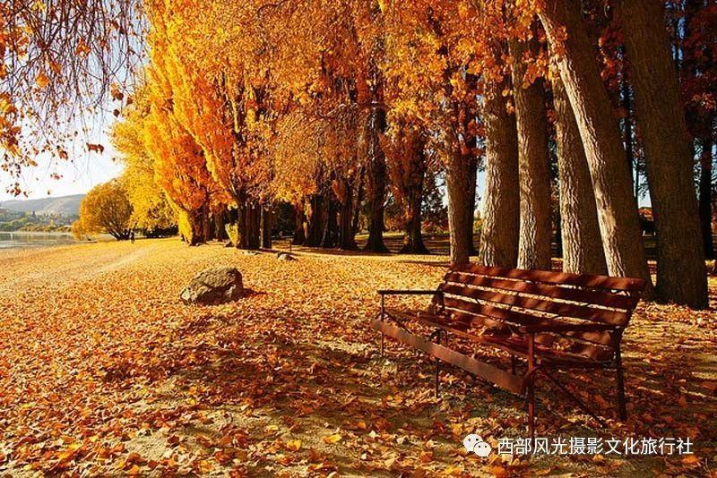 探索知识星球平台|关于“人要向前看”的励志名言有哪些?全方位精彩内容