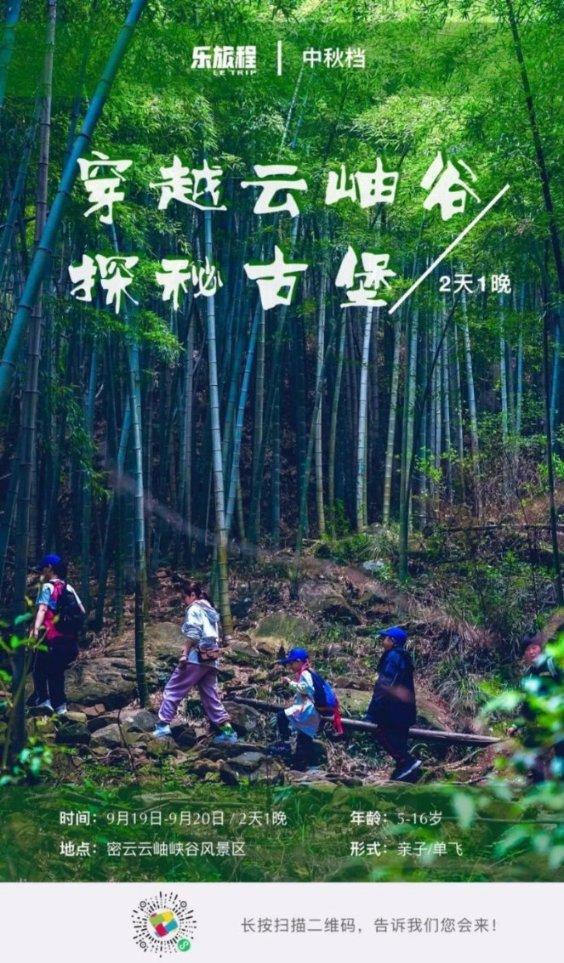 篮球大师