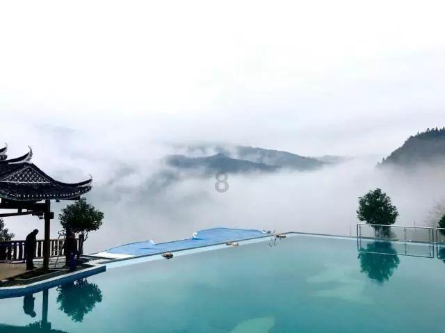 逃离鱼店