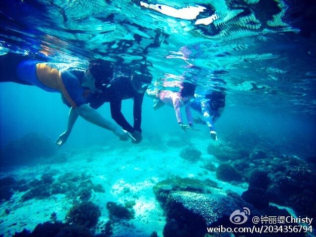 小猫钓鱼开船版最新版下载