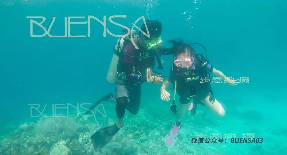 在位时间最短的皇帝游戏画面