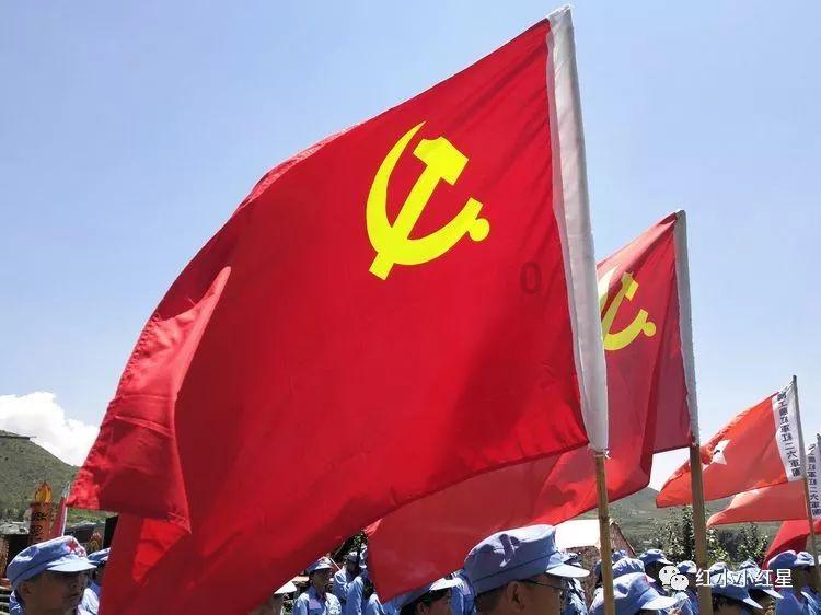 救援小肥兔