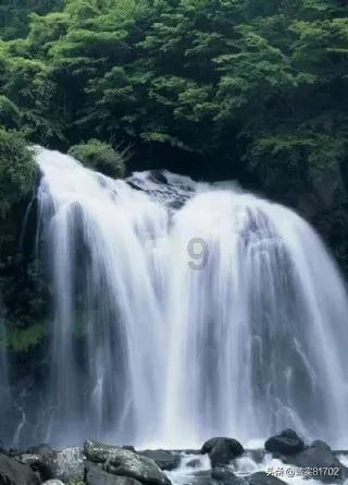 脑洞小老弟无实名认证