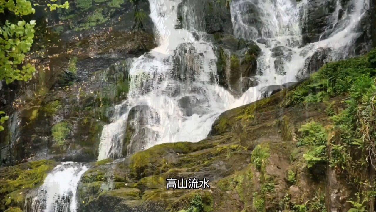 江苏：加快展现农业农村现代化新图景