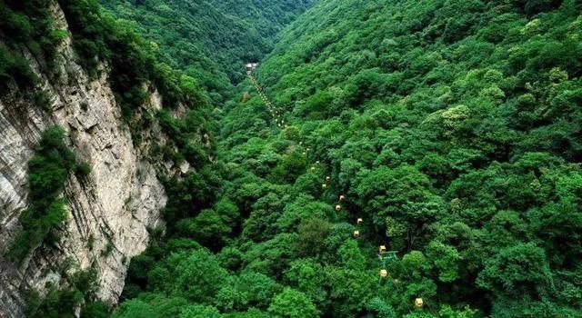 旅途/风之旅人