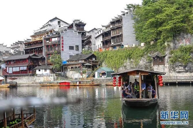 五彩鹦鹉救援